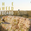 vissla creators and innovators