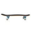 Carver Skateboards - 31.75" Enigma - Deck Only