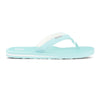 Foamlife Lixi