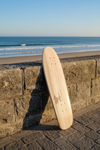 Coastline Cruiser