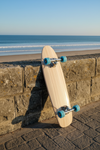 Coastline Cruiser