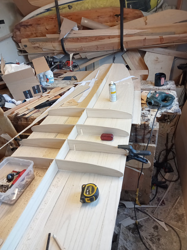 Log Flume | 9ft 4 | Longboard | Paulownia