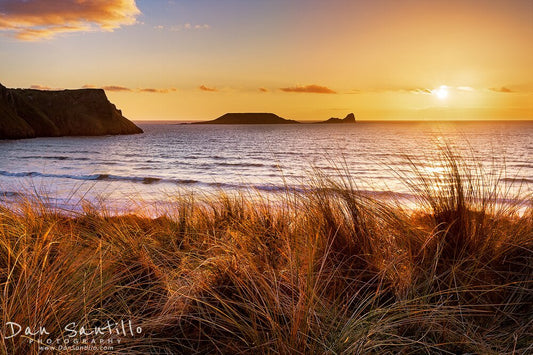 Golden sunset over Rhossili Bay with Worm's Head in the distance, framed by coastal grass.