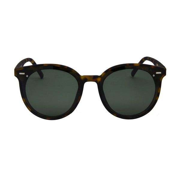 I-Sea Payton - Tort / G15 Polarised