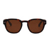 I-Sea Barton - Tort / Brown Polarised