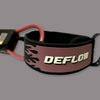 The Fired Up Leash