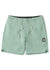 Vissla Solid Sets 17.5" Ecolastic Boardshort in Aloe