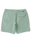 Vissla Solid Sets 17.5" Ecolastic Boardshort in Aloe, view 2