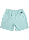 Back view of Vissla Vibration Hemp 18" Walkshort in aqua featuring a back pocket.