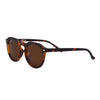 I-Sea Blair Conklin - Tort / Brown Polarised