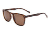 I-Sea Cove - Tort / Brown Polarised