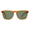 I-Sea Cove -Sunshine / Green Polarised