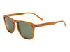 I-Sea Cove -Sunshine / Green Polarised