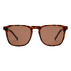 I-Sea Cove - Tort / Brown Polarised