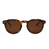 I-Sea Blair Conklin - Tort / Brown Polarised