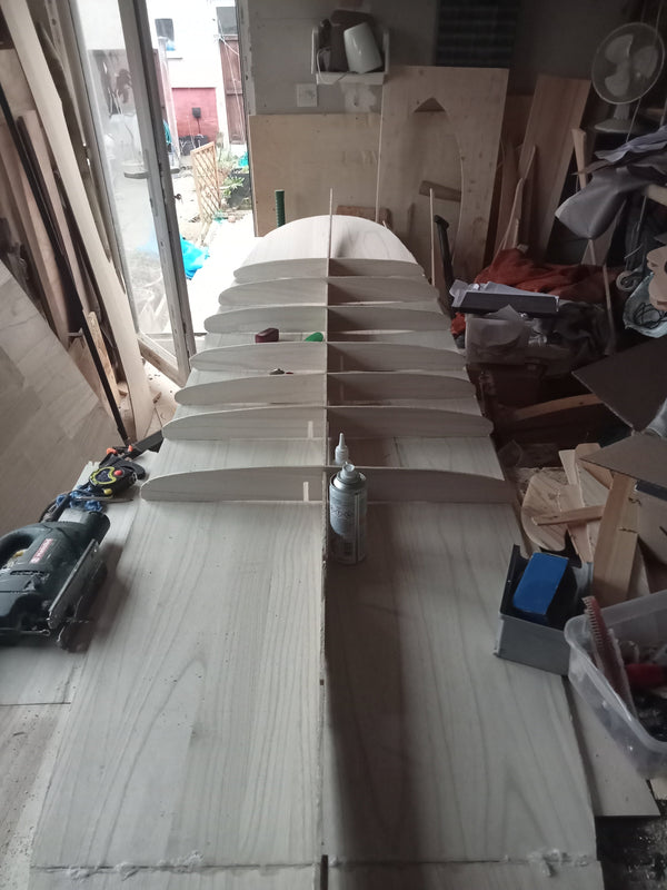 Log Flume | 9ft 4 | Longboard | Paulownia