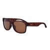 I-Sea Sunglasses Seven Seas - Tort/Brown Polarized