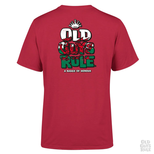 'Stacked Logo Home Nations - Wales' T-Shirt