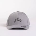 Rusty Chronic 4 Flexfit Cap – Frost Grey