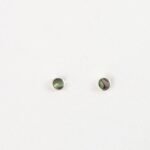 Silver-Plated Stud Earrings with Paua Shell by Pineapple Island